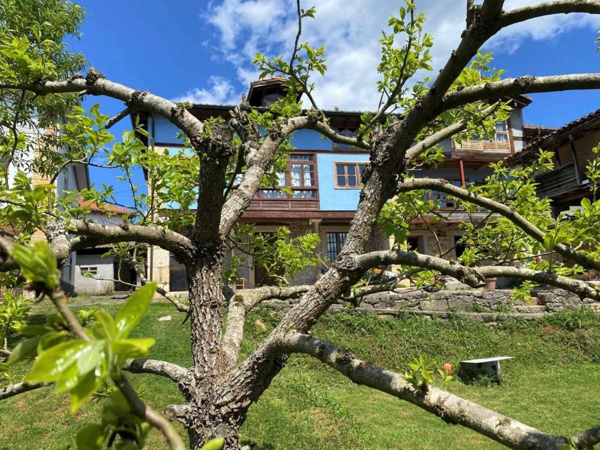 أريونداس Casa Rural El Bohio المظهر الخارجي الصورة
